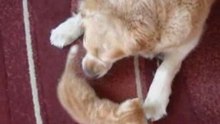 Miep5-5_1