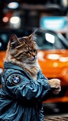 Entatanment Vedio Channel for kids Enjoy .