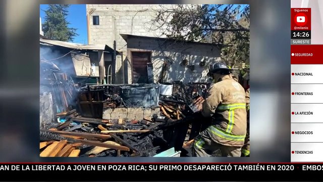 Mueren 24 perritos en incendio en San Cristóbal de Las Casas, Chiapas; rescatan a tres