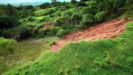5 - Dinos do Brasil - Santa Maria, Berço dos Dinossauros do Mundo