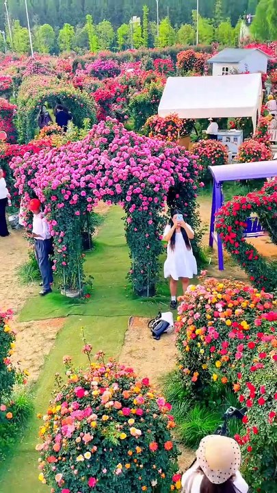 ,,,,,,,,,Beautiful park,,,,,,,,,