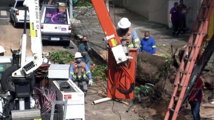 b'Via fica parcialmente bloqueada aps queda de rvore'