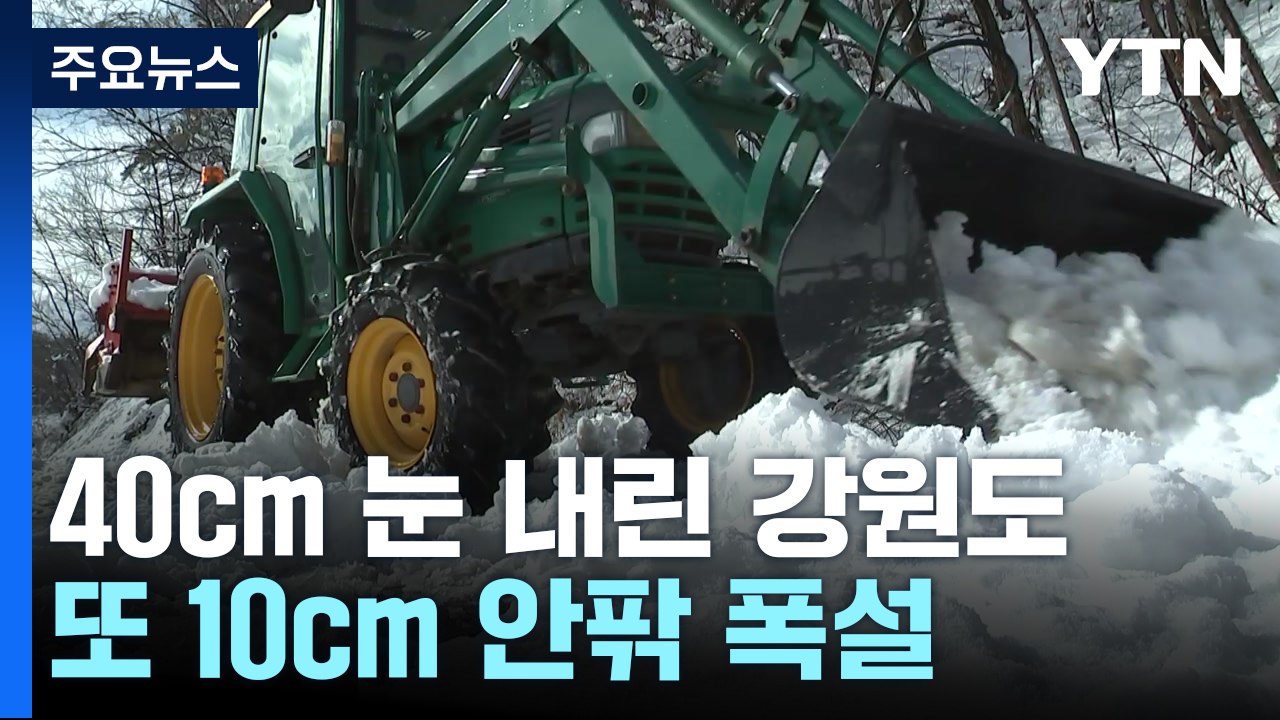 40cm 눈 내린 강원도 또 폭설...산불 걱정 '뚝' / YTN