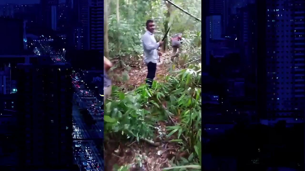 b'Pai e filhos esto desaparecidos em zona de mata em Parauapebas'