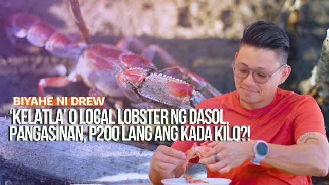 ‘Kelatla’ o local lobster ng Dasol, Pangasinan, P200 lang ang kada kilo?! | Biyahe ni Drew