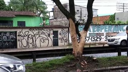 b'Investigador de polcia morre em acidente de trnsito '