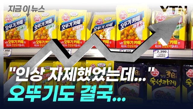 인상 자제했었는데... 오뚜기도 면치 못한 가격 인상 [지금이뉴스] / YTN