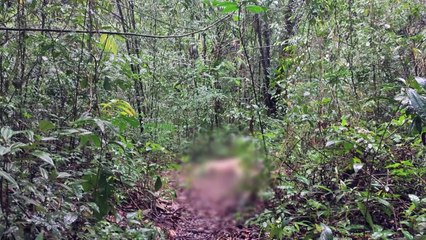 b'CORPO_ACHADO_AMERICANO_-_SEM_GC_-_010421_1.mp4'