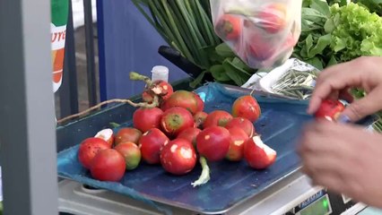 b'AGROFEIRA_CIRIO___CACIA___17-10-20_1.mp4'