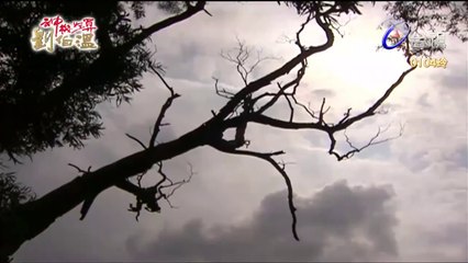 Thần Cơ Diệu Toán Lưu Bá Ôn Phần 6 Long Trân Châu Tập 62 Bản Đẹp (FULL 720P)