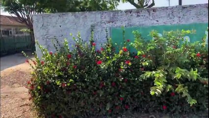 b'PF: Operao "Tudo nosso nada deles" '