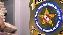 b'Polcia apreende meia tonelada de cocana em fundo falso de caminho'