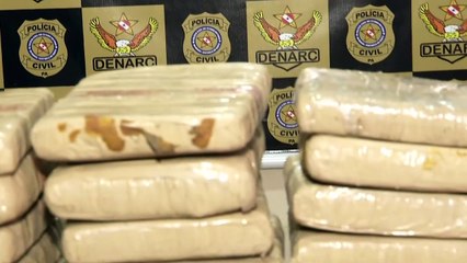 b'Denarc apreende 50 kg de maconha tipo "skank" no Guam'