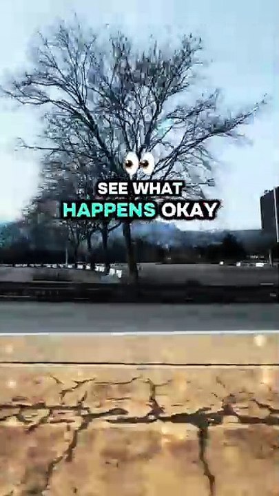 Why  #BR3 #motivation #motivationalvideo #motivationalquotes #mindsetmotivation