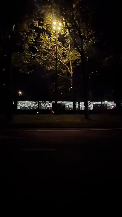 #motivation #success #quotes #mindset #motivational #motivationalvideo #support (2)