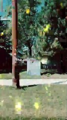 I don't care who's doing better than me #BR3 #motivation #mindsetmotivation #success #motivationalvideo