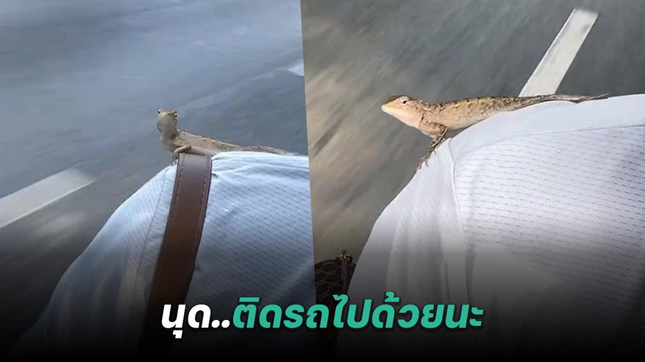 เมื่อคุณนั่งวินมอเตอร์ไซค์ แล้วมีผู้โดยสารขอติดรถมาด้วย