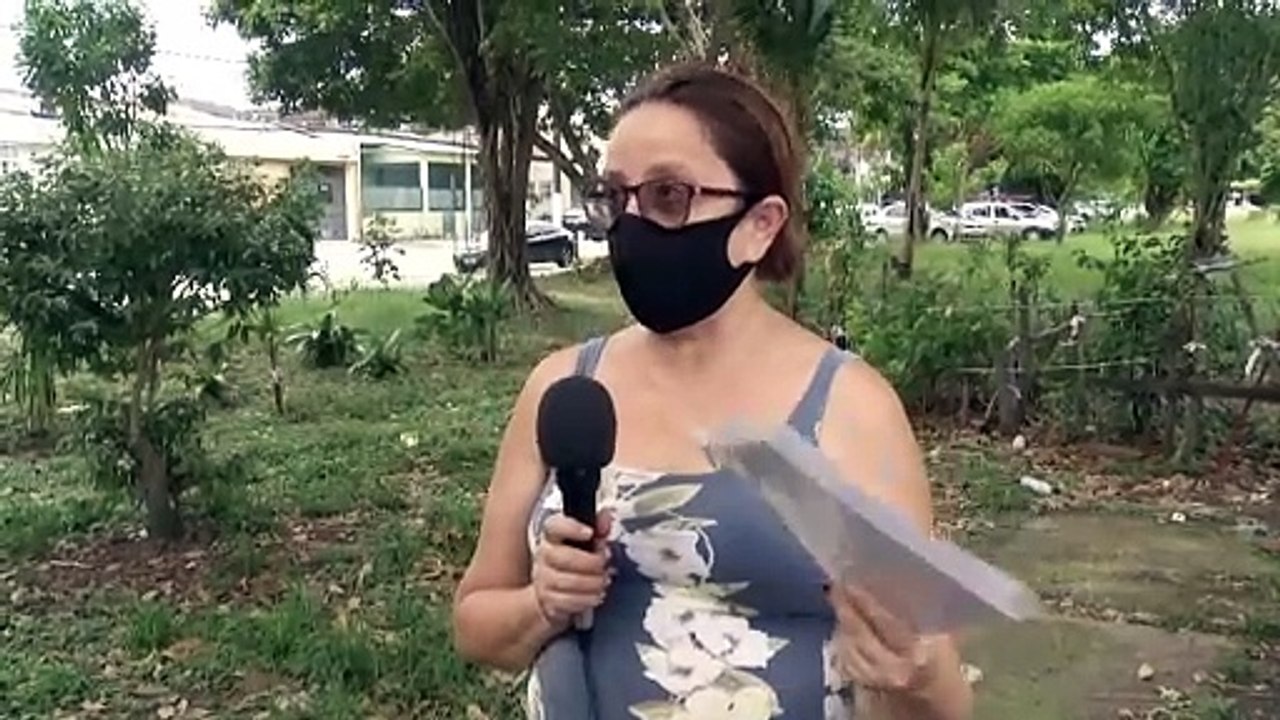 b'Visconde: Risco de queda de rvores '