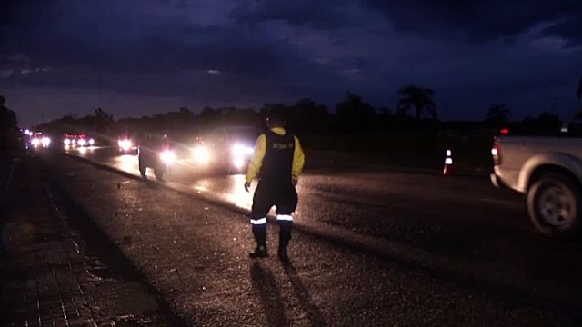 b'Temporal derruba rvore em Benevides '