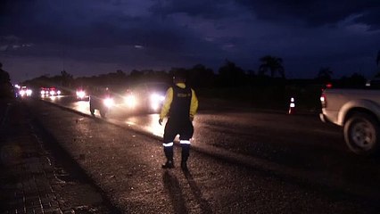 b'Temporal derruba rvore em Benevides '