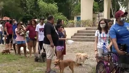 b'Vacinao antirrbica nos bairros de Belm  '