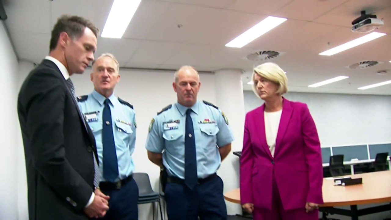 NSW Police seize various weapons in wanding searches