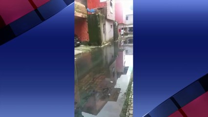 b'WHATSAAP_TENONE___TELEGRAFO___TAPANA___ELAINE____03-06-2020.mp4'