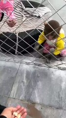 "Hilarious Comedy Videos That Will Make You Laugh