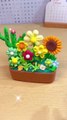 Accompany your child to make a small pot of small flowers