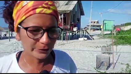 b'Filhotes de tartaruga marinha foram soltos na praia de Algodoal '