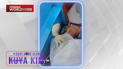 Pugita, namataang tila naglalakad?! | Dami Mong Alam, Kuya Kim!