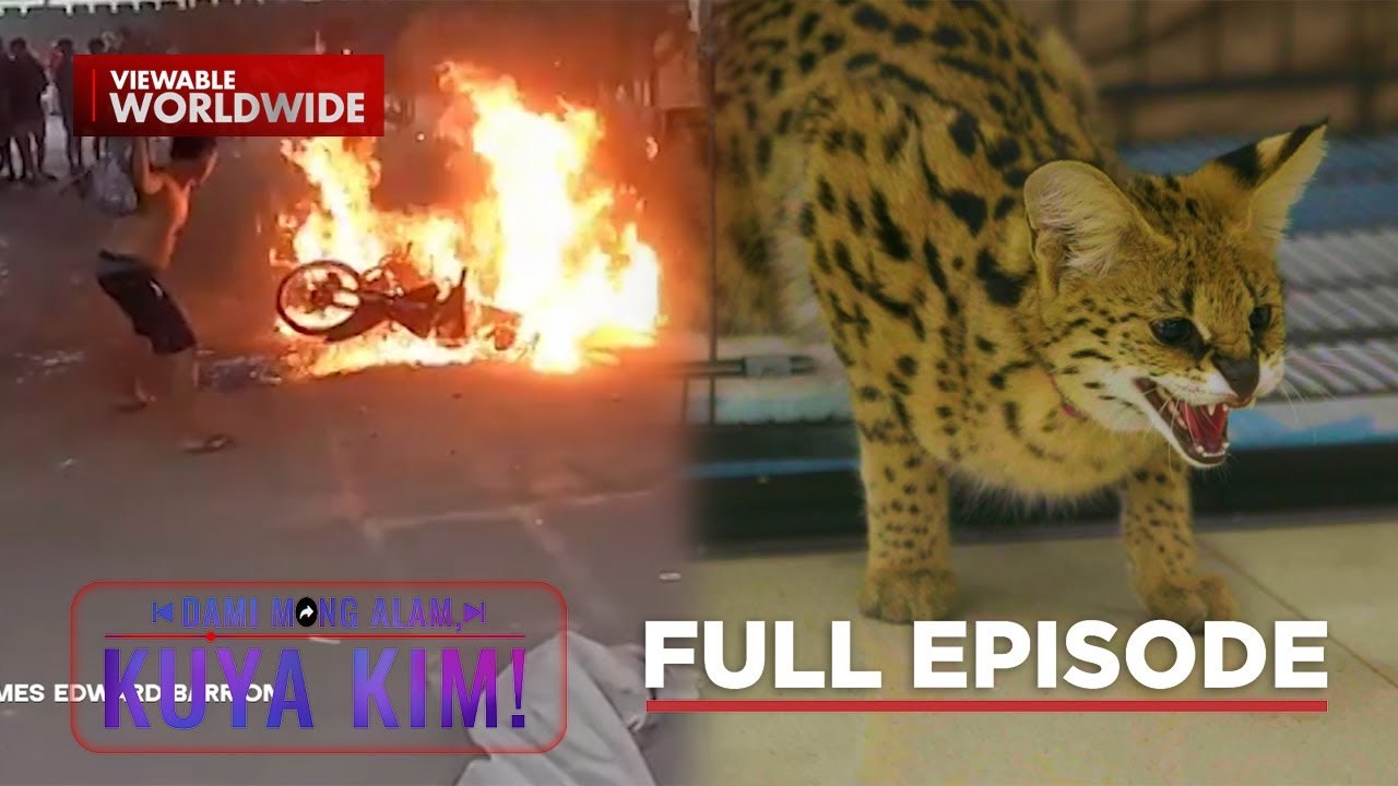 Motor, lumiyab?; Lalaki, nag-aalaga ng serval cat? | Dami Mong Alam, Kuya Kim!