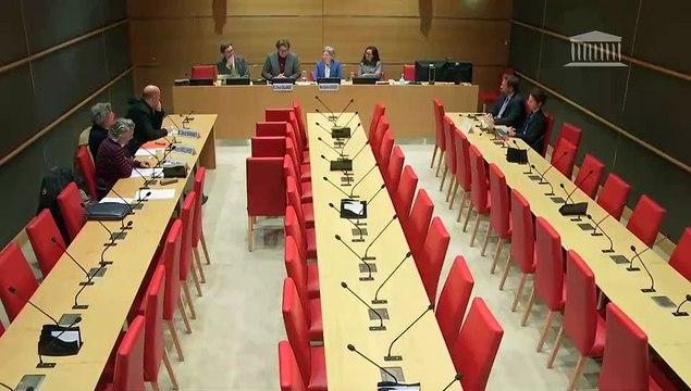 Violences commises dans les secteurs artistiques et médiatiques : Audition de directeurs de casting ; Audition de membres du conseil de gouvernance de l’association de parents PASSERELLE-MHS - Lundi 17 mars 2025