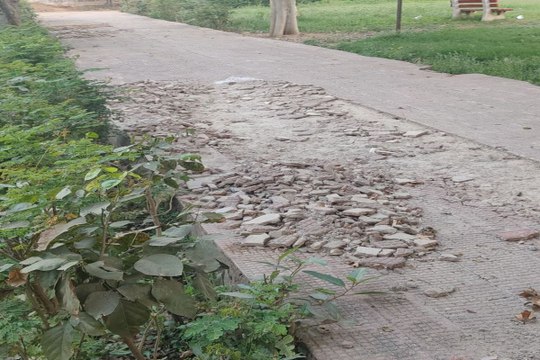 swm news...लाखों खर्च फिर भी बदहाल पार्क, लापरवाह बने जिम्मेदार