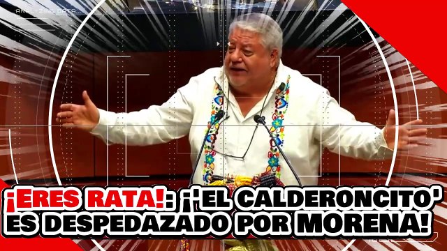 ¡ERES UNA RATA! ¡’CALDERONCITO’ DESPEDAZADO por MORENA por ATACAR La LEY para PROTEGER el MAÍZ!