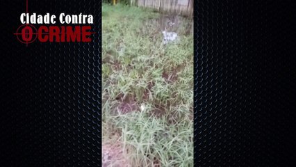 b'DENUNCIA_MOSQUEIRO_ZAP_MORADORA___CCC___04-06-2020.mp4'