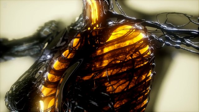 b'Saiba como reduzir sequelas aps Covid-19'