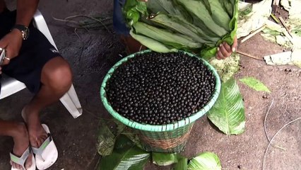 b'Preo do aa sobe na Regio Metropolitana de Belm '