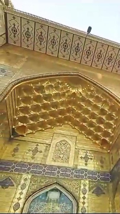 VID-20241230-WA0010