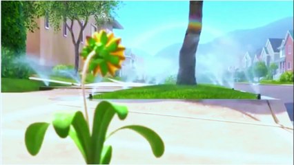 Never Give up on your Dreams