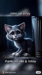 Mini cat story