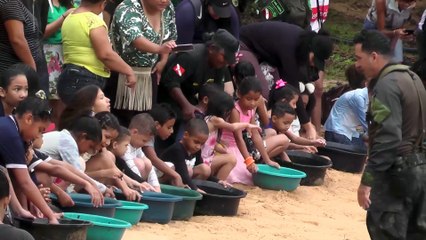 b'Projeto garante repovoamento de tartaruga em Tocantins'