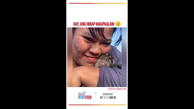 Paghihiwalay ng unggoy at babaeng nag-aruga sa kanya, naging emosyonal | GMA Integrated Newsfeed Bytes