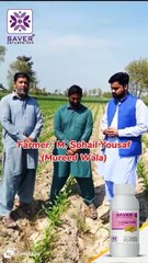 Excellent Result of "FOOT PRINT" in whaet crop