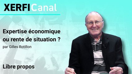 Expertise économique ou rente de situation ? [Gilles Rotillon]