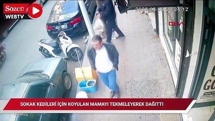 Fatih'te sokak kedileri için koyulan mamayı tekmeleyerek dağıttı