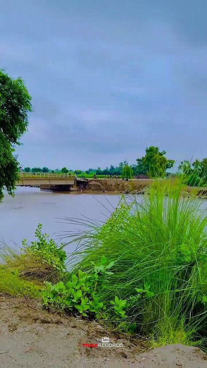 Weather ☁ Cool  #village #vlog #maxrecords   Thank you for watching!