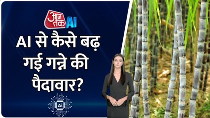AI Farming in India: AI की मदद से किसानों को हो रहा बंपर फायदा, देखें ये रिपोर्ट