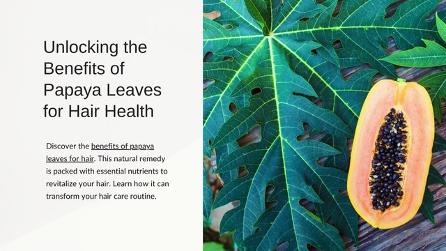 Unlocking the Benefits of Papaya Leaves for Hair Health