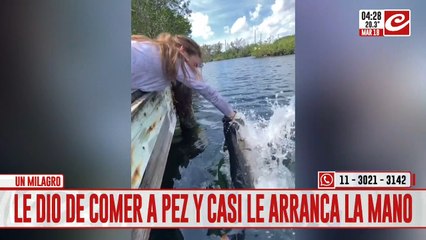 Le dio de comer a los peces... ¡y mirá lo que le pasó!